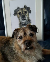 Grissom, the border terrier, alongside his portrait