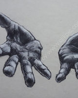 Hand study no 7