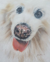 Ruffy, close-cropped portrait