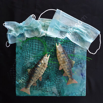 Save our seas III