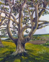 View over Knockfarrel