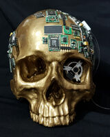 Reflection - work in progress 3