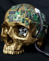 Reflection - work in progress 2