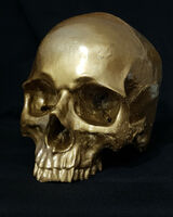 Reflection - work in progress 1