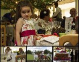 Wedding Reception 2