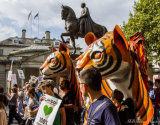 Climate Demo Tigers