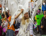 Climate Demo Ice Maiden