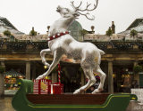 Silver Stag