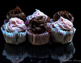 Pink and Chocolate Cupcakes