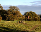 Kent Downs