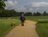 Man and His Dog, Richmond Park