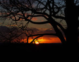 Pembroke Lodge Sunset, Richmond Park