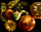 Pumpkins 2