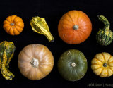 Pumpkins 1
