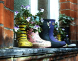 Wellington Planters