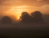 Sunrise in Richmond Park