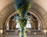 Chihuly at the V&A