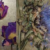 Gilded Flowers
