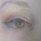 Eye Study / Étude Oculaire