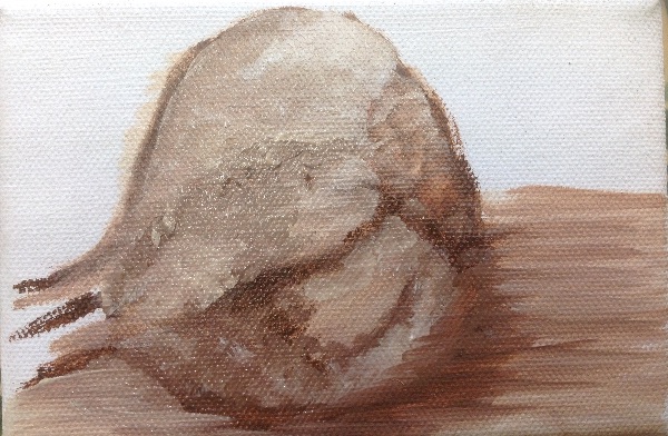 Still Life in Oils Workshop