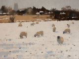 After the Snow, Blythburgh