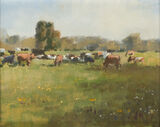 Cattle at Mendham Hall