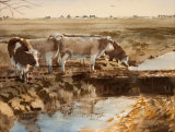 Cattle on Town Marshes, Southwold