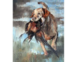 Working Dog