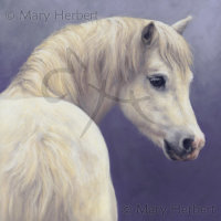 Butter Wouldn't Melt