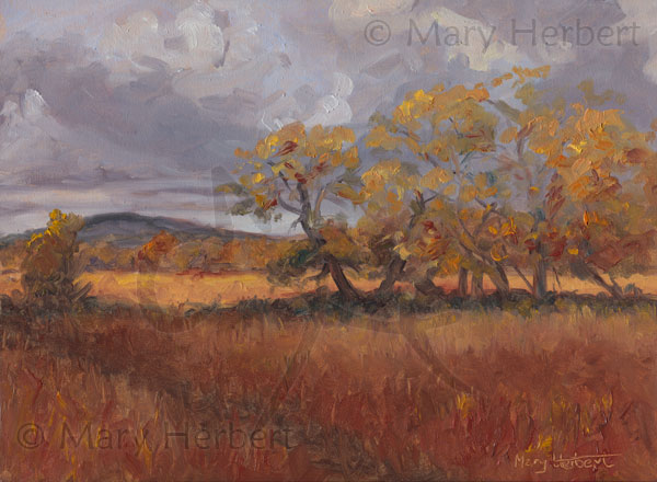 Cors Caron, Autumn 1