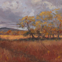 Cors Caron, Autumn 1