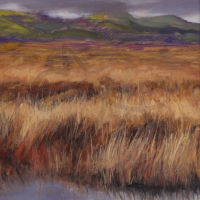 Cors Caron, Autumn 2