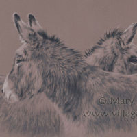 The Best Ears Of My Life