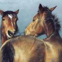 An Exchange of Views