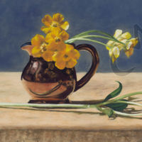 Fresh From The Field