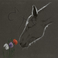 Lest We Forget (no text)