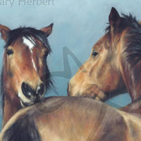 An Exchange of Views