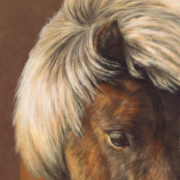 Another Bad Hair Day