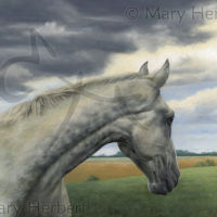 Bill's Mother's Mare