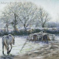 Watch Out, Here Comes Trouble