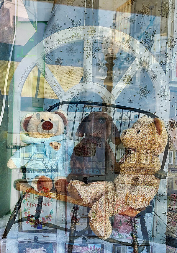 Bears in the Window