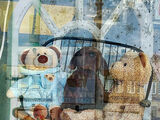 Bears in the Window