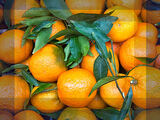 Oranges