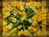 Zucchini