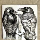 Card Guardians on Excalibur 15x15 cm £5 Mary Swift crow raven art