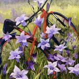 Summer ride, bluebells