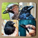 Perfect corvid set. Raven, Magpie, Mr&Mrs Jay, set of 4 coasters £15 free UK delivery