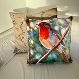 Robin Velvet Cushion