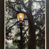 The Lantern print 40x30 £20