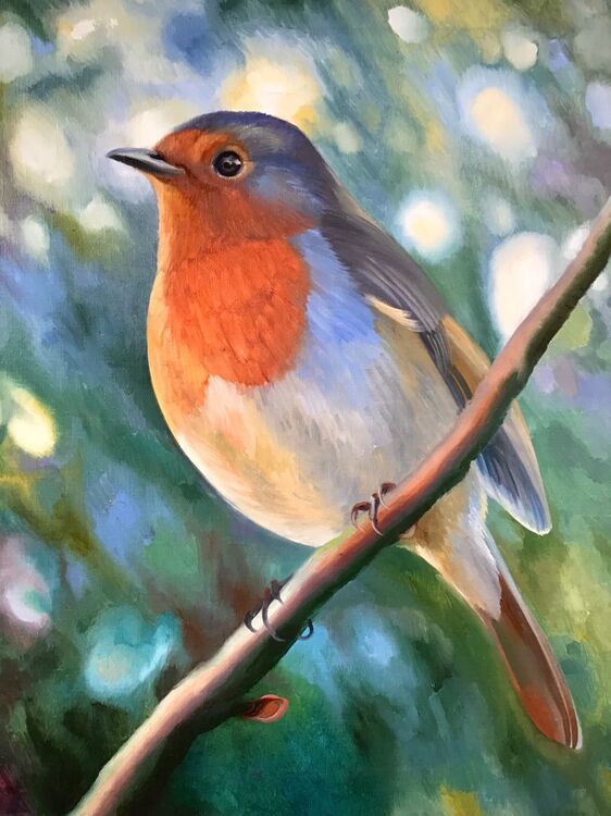 Robin